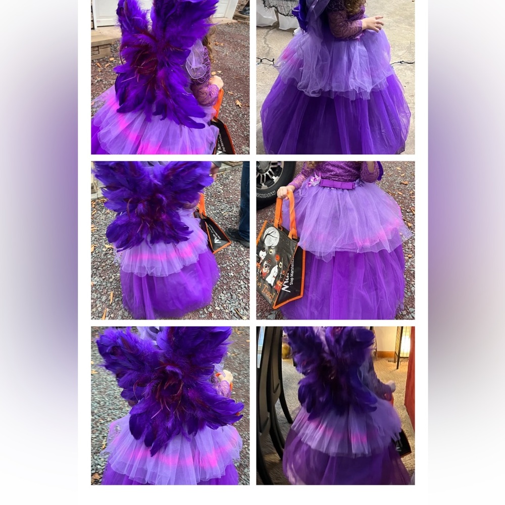 Fairy costume made wings and all